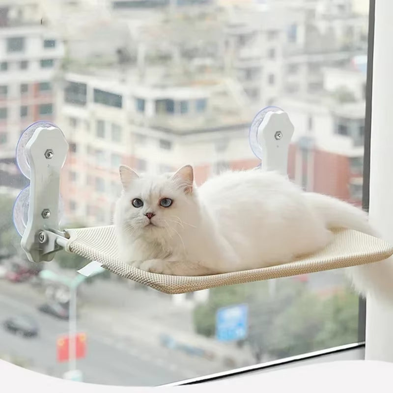Chat blanc sur son hamac de fenêtre, vue sur la ville