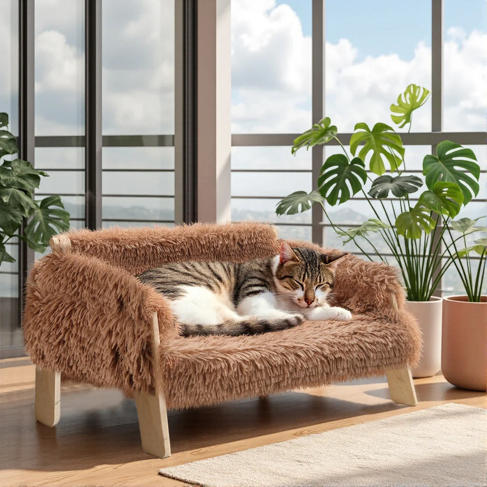 Chat installé sur un lit-canapé surélevé près d'une fenêtre, collection Confort & Protection Grimpachat