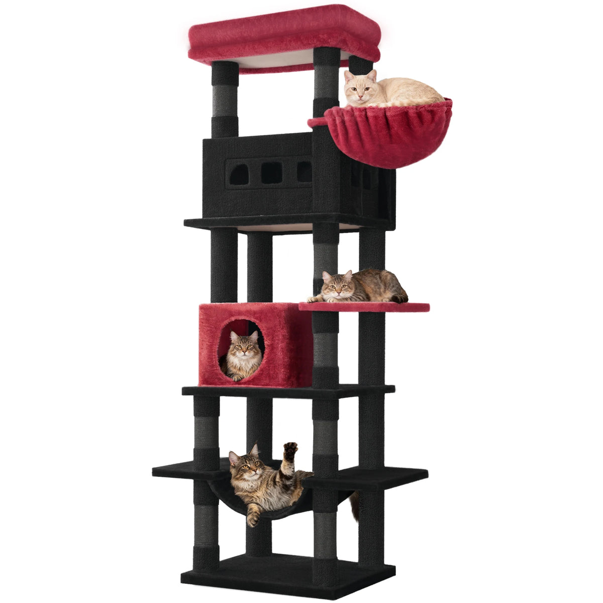 Arbre à chat XXL 170 cm multi-niveaux, vue 8