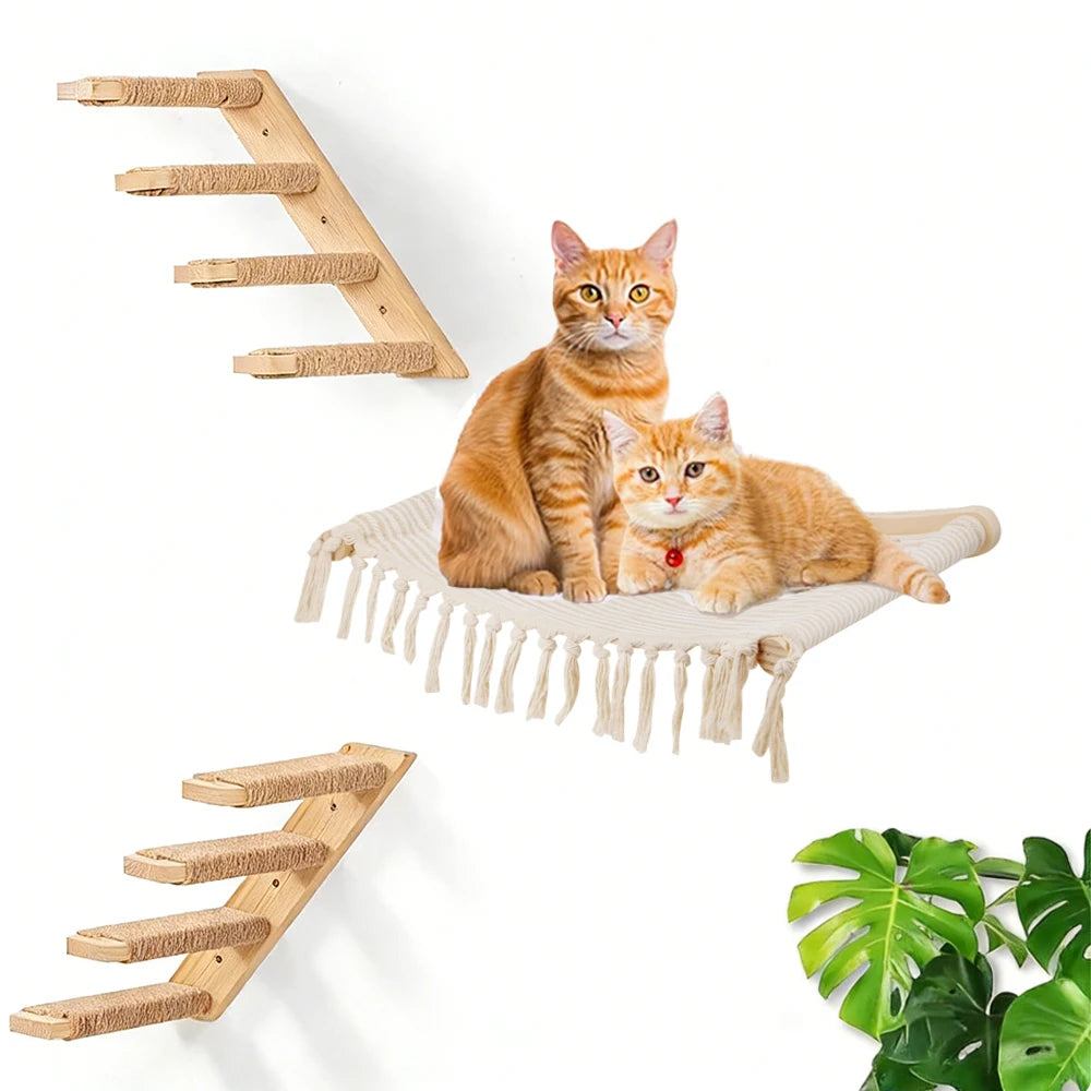 Deux chats dans un hamac mural à franges, échelle en sisal fixée au-dessus