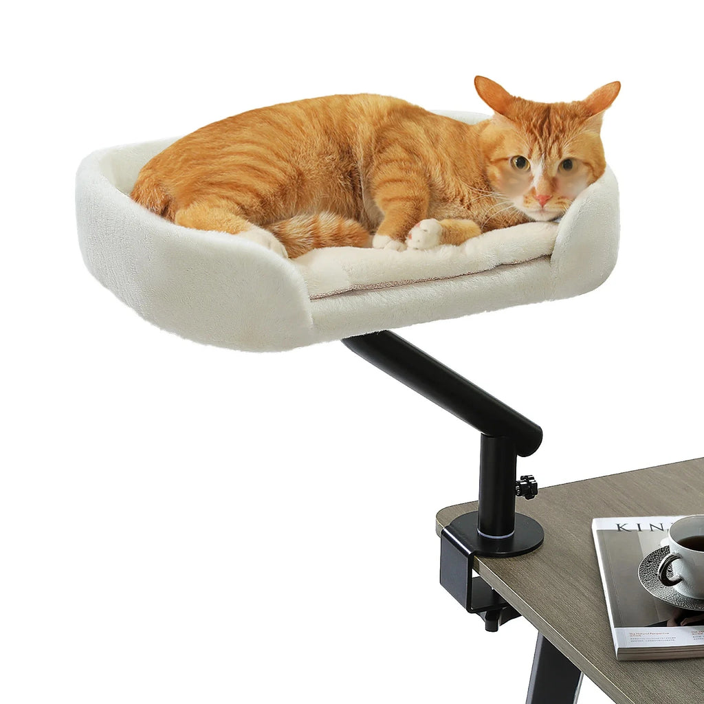 Chat roux couché dans un panier moelleux fixé au bord d'un bureau par un bras articulé