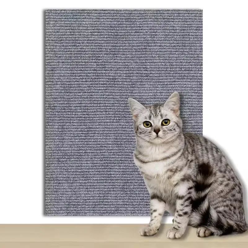 Tapis anti-griffes auto-adhésif, coloris gris clair, à côté d'un chat pour l'échelle