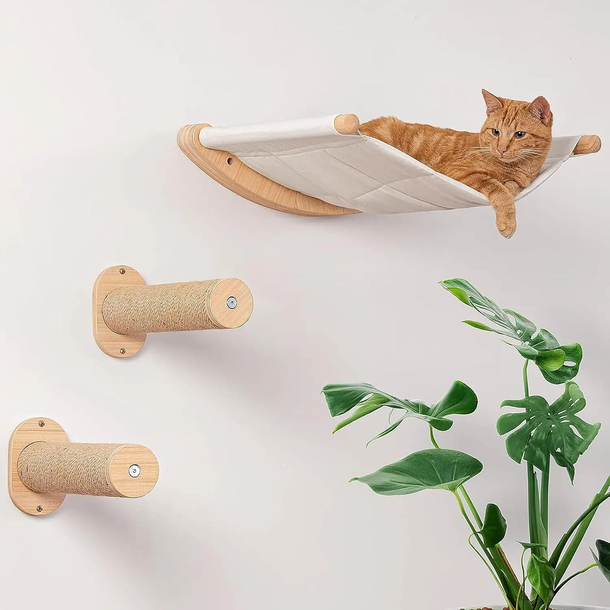 Chat roux couché dans le hamac mural en toile, deux marches en sisal en dessous