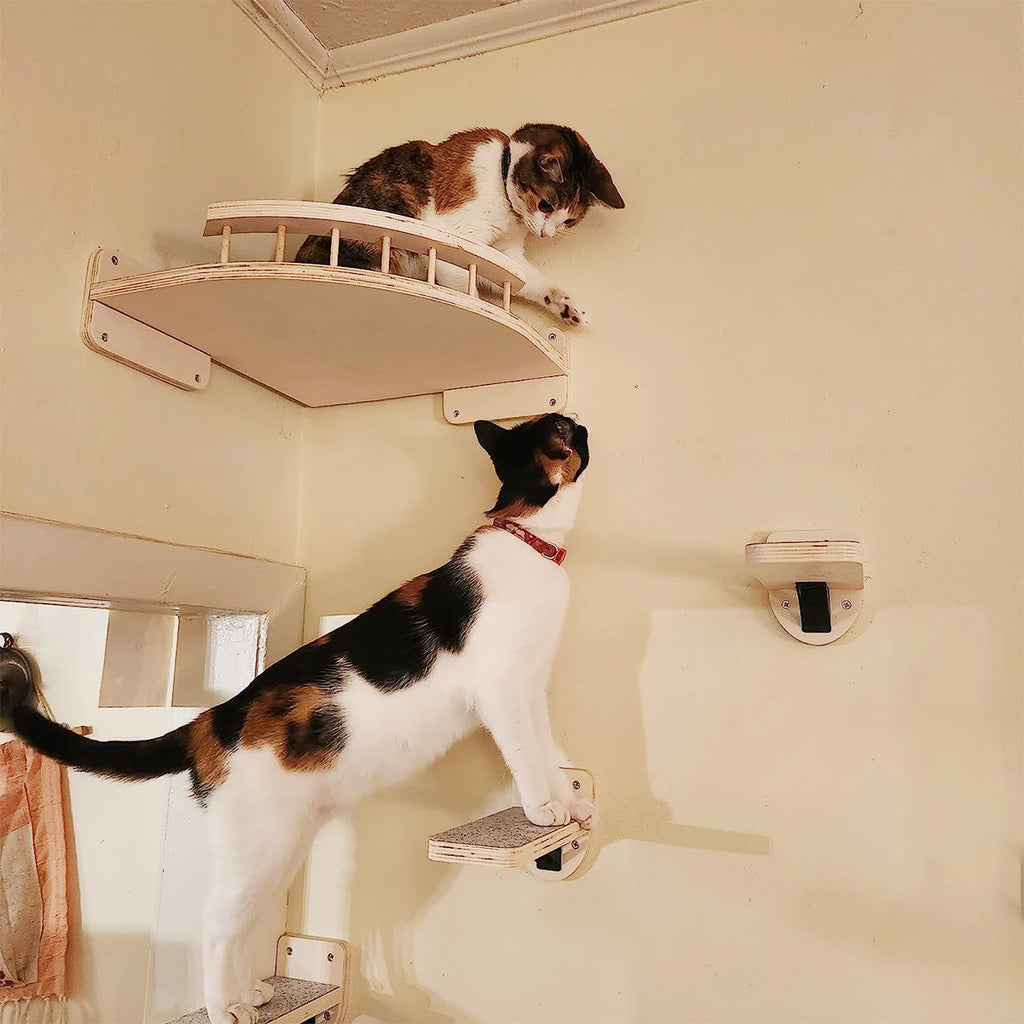 Chat installé sur une étagère d'angle murale à balustrade, un second chat grimpant par les marches