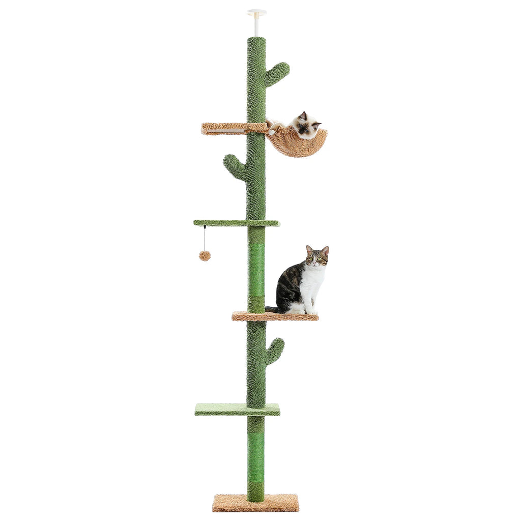 Arbre à chat cactus du sol au plafond, vue 2