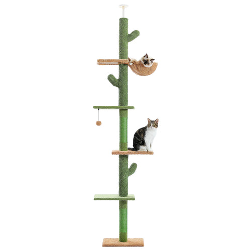 Arbre à chat cactus du sol au plafond, vue 2