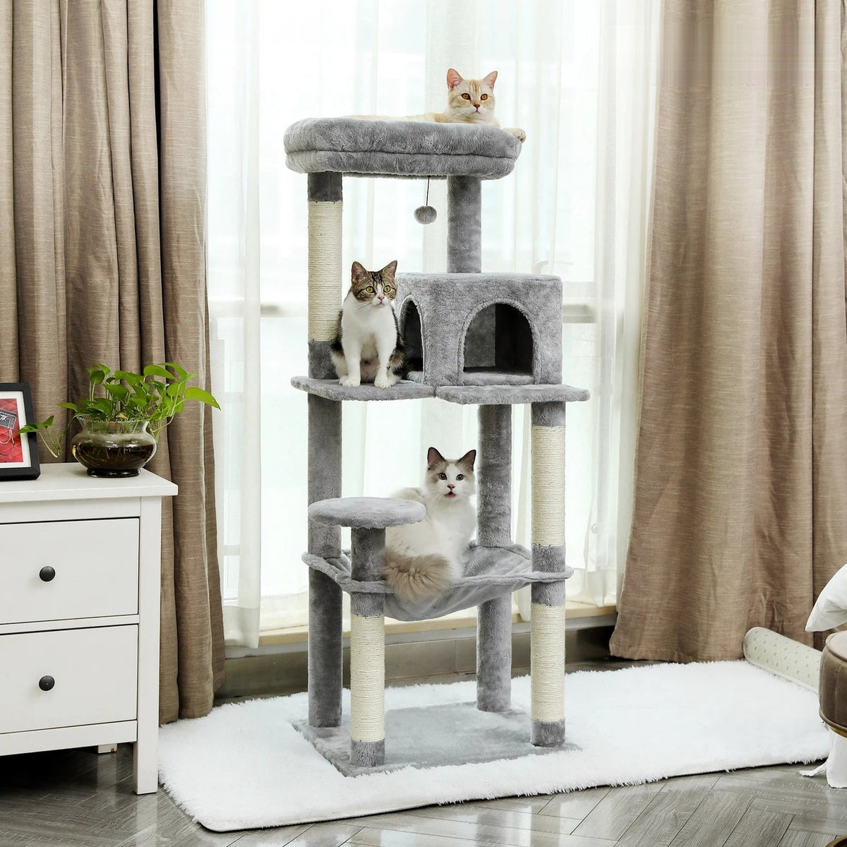 Arbre à chat 5 niveaux gris avec hamac et niche, près d'une fenêtre