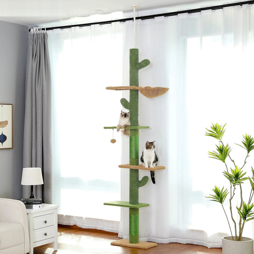 Arbre à chat cactus du sol au plafond installé dans un salon