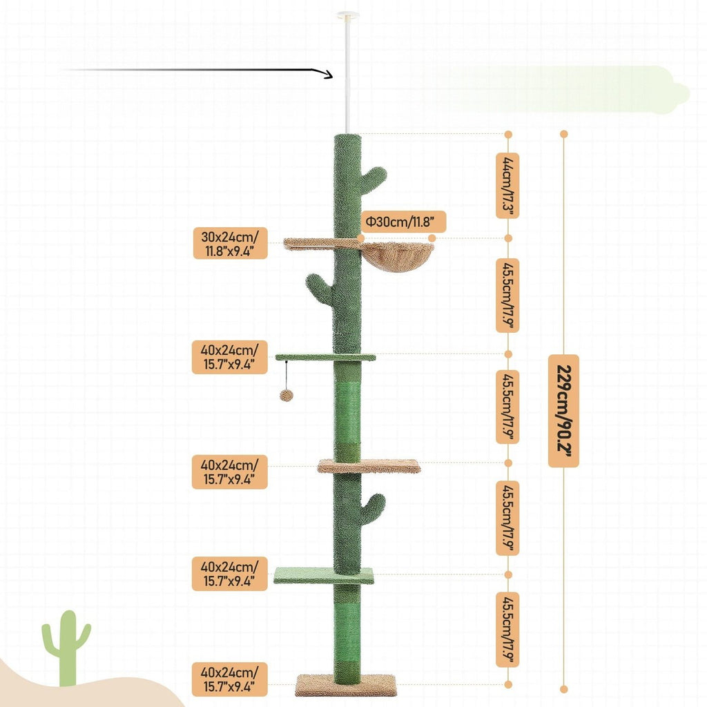 Arbre à chat cactus du sol au plafond, dimensions