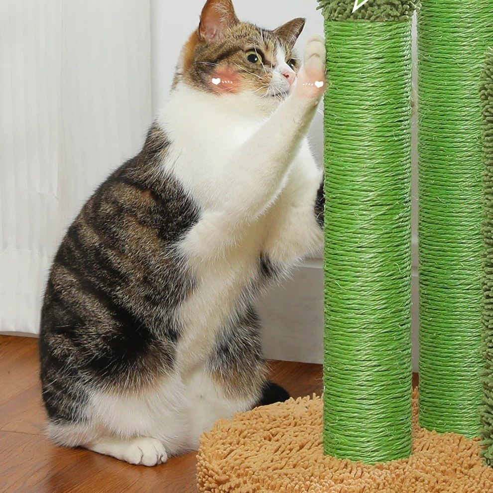 Griffoir cactus 3 poteaux en sisal, vue 4