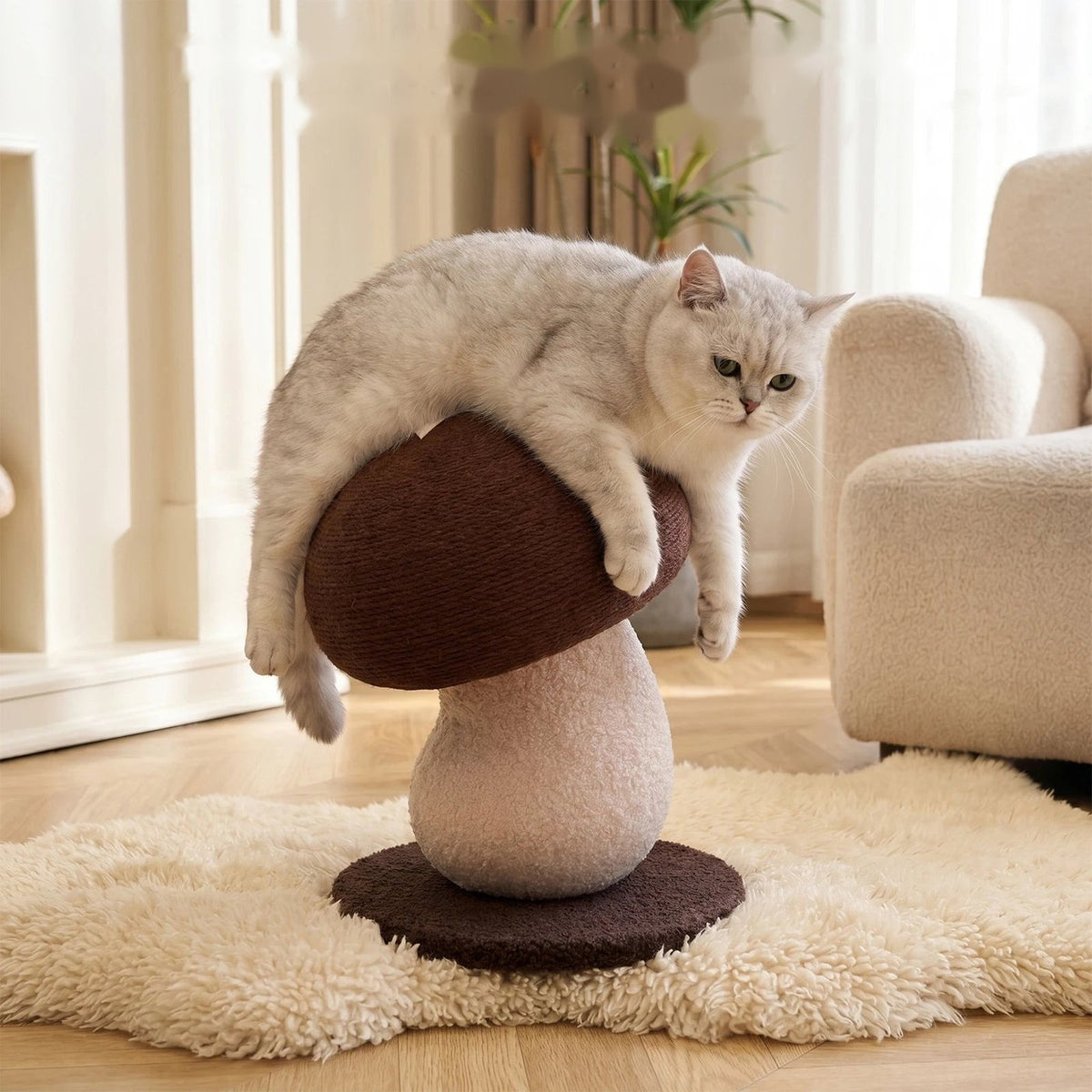Chat blanc allongé sur le griffoir champignon marron