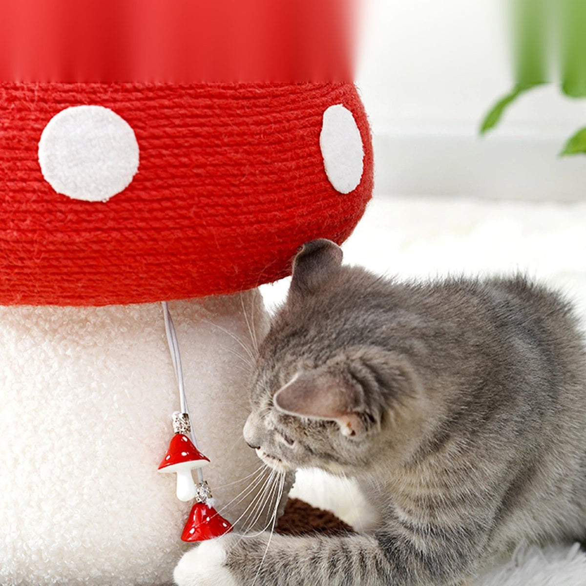 Chaton qui joue avec la décoration suspendue du griffoir champignon