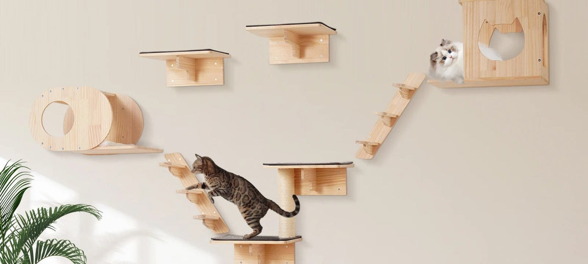 Kit parcours mural 7 pièces installé sur un mur, chats en train de grimper