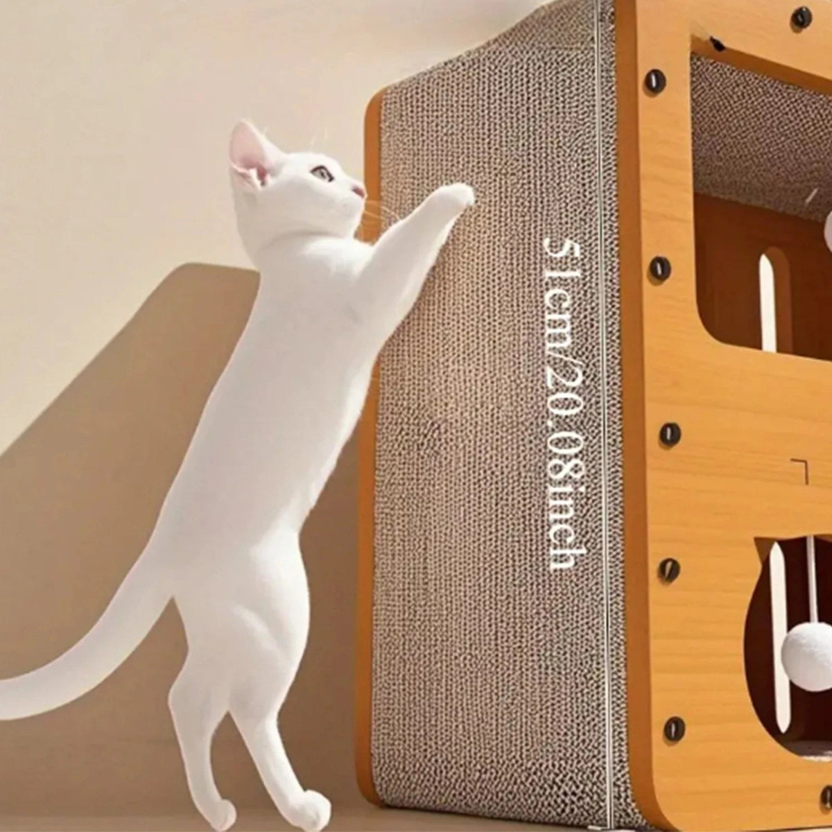 Chat qui fait ses griffes sur la paroi en carton ondulé
