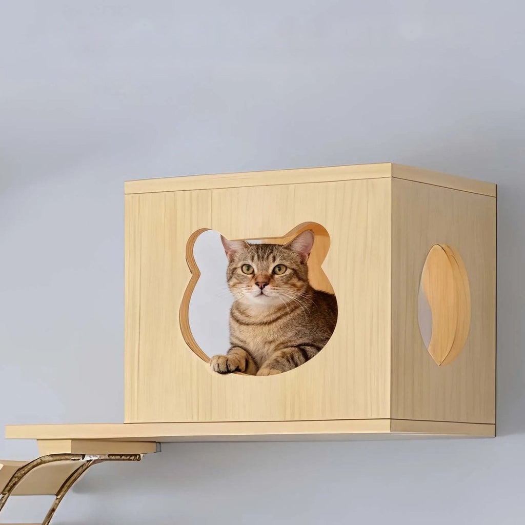 Structure murale en bois pour chat avec pont et échelle, vue 3