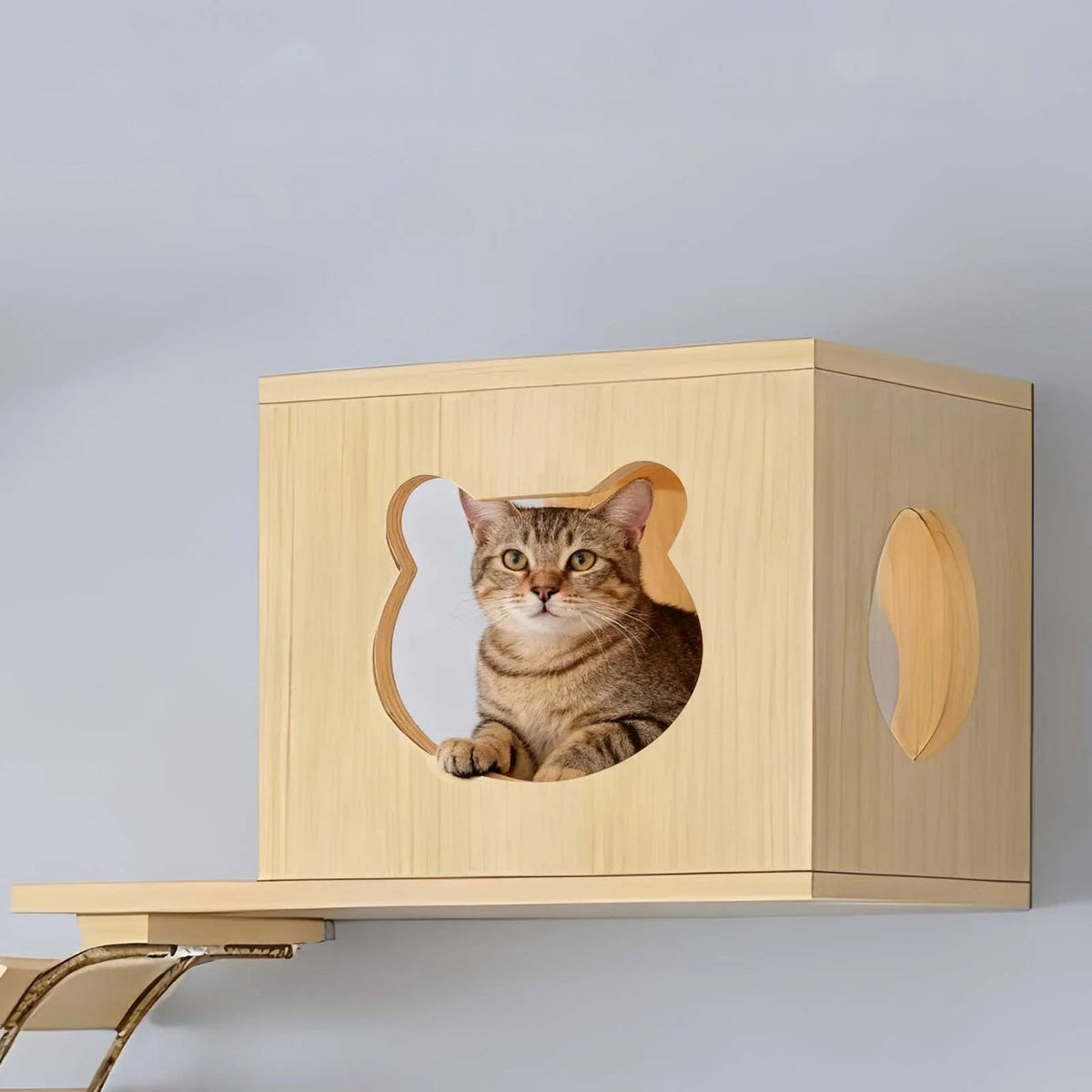 Structure murale en bois pour chat avec pont et échelle, vue 3