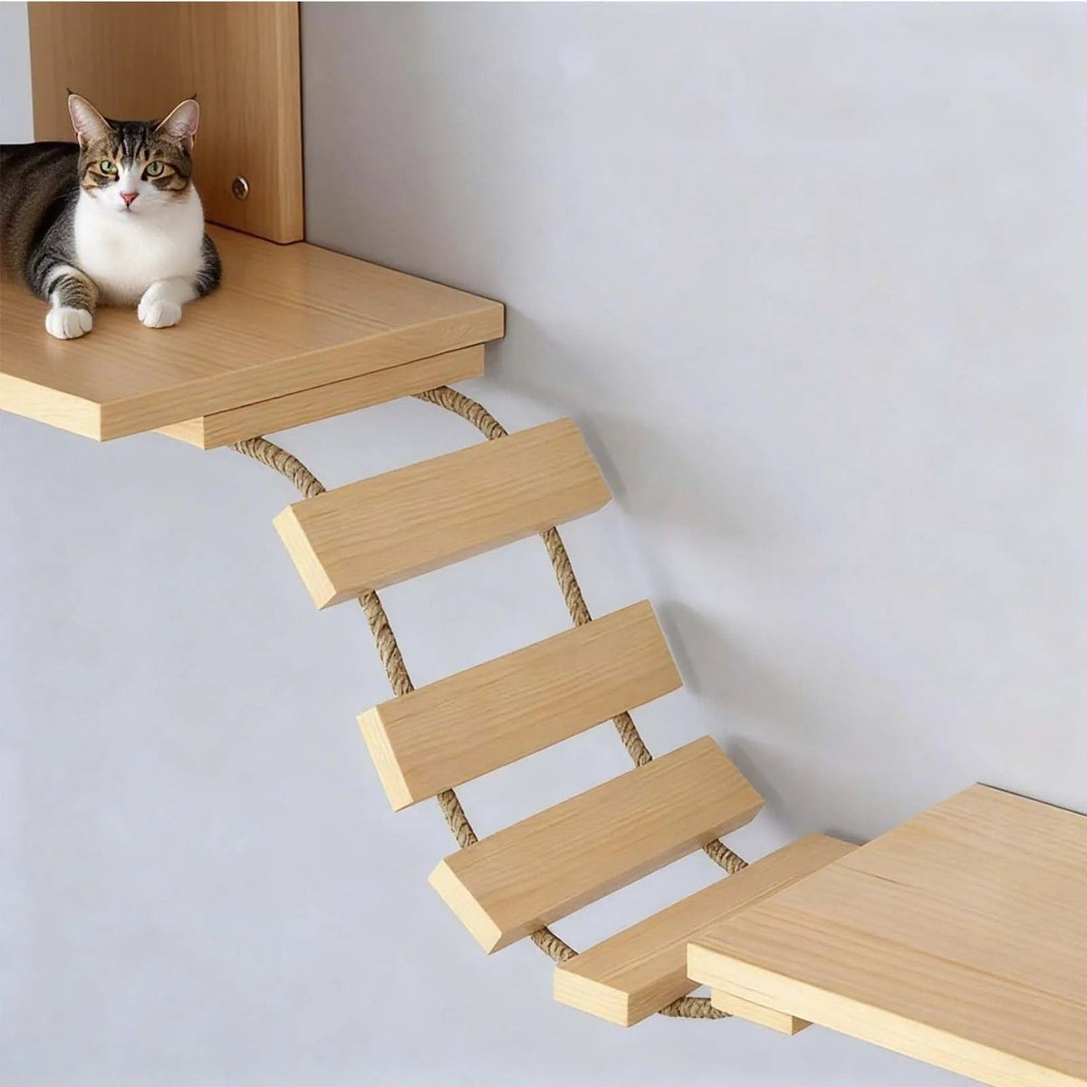 Structure murale en bois pour chat avec pont et échelle, vue 4