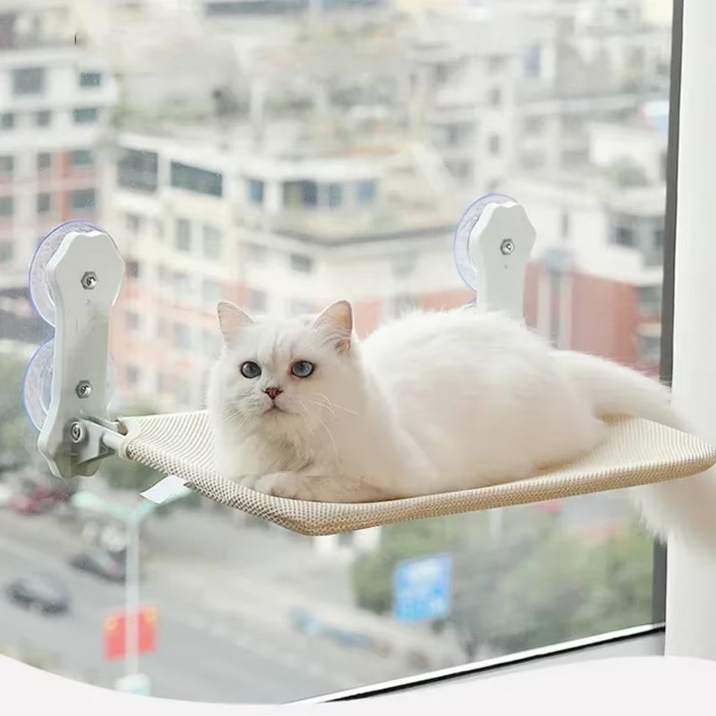 Chat blanc sur son hamac de fenêtre, vue sur la ville